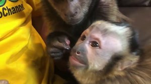 39K views · 2.7K reactions |  STORY TIME  We were LIVE on...