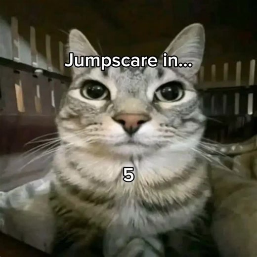 Did i scare you? 😈 #Rickroll #Inthebig25