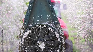 Spraying flowering apple orchard to protect against disease and insects. Apple flowering tree spraying with a tractor and agricultural machinery in springtime, slow motion