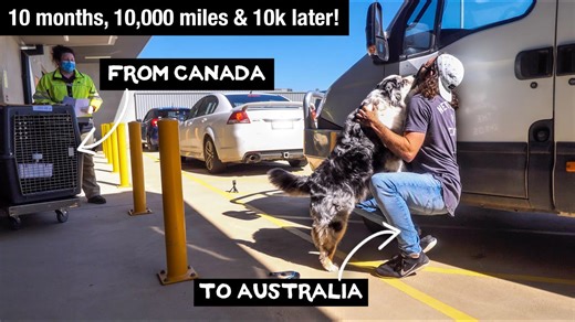 I finally reunite with my dog after 10 months