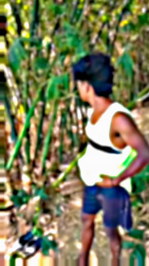 1.2K views · 38 reactions | Tohfa to bus.... 殺❤@lx__somnath__097x #instagram #fitness #highlights #fightcoronavirus #foodporn #follower #india | সোমনাথ সিং | Facebook