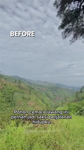 Pohon cemara lawang ini pernah jadi saksi perjalanan hidupku. Sejak 2014 aku melewatinya setiap hari untuk mengajar di SDN Igirklanceng 01, dengan gaji 200 ribu dan sejuta harapan. Kini di tahun 2026, ia tumbang terbawa longsor. Seperti lelah yang akhirnya roboh. Tapi perjuangan belum berhenti. Selama masih ada murid yang menunggu, aku akan tetap melangkah. #igirmanis #igirklanceng #gunungslamet