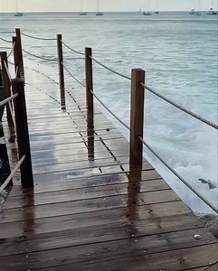 2.1K views · 160 reactions | We are on two of the best swimming...