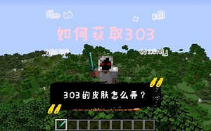 ［mc指令］快看，又有一只实体303出现了！（303皮肤教学）