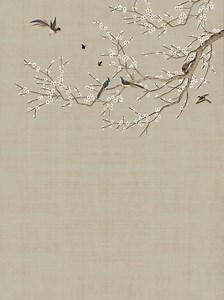 Barry's Collection on Reels