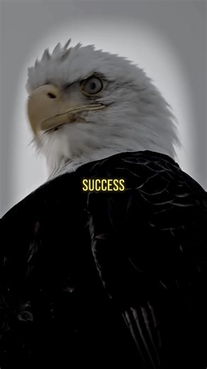 Sigma Rule☠️🔥👿#motivation #success #mentality #mindset #inspiration #descipline #fyppppppppppppppppp