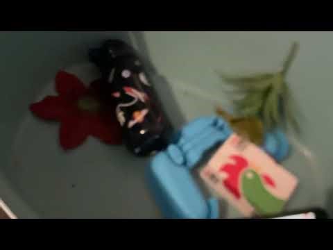 BFDI in real life objects