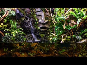 Recreating Ancient Ruins Claimed by Nature (Vampire Crab Paludarium)