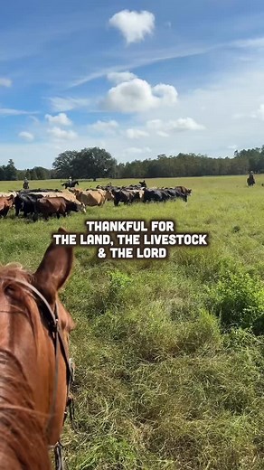 328 reactions · 7 comments | Thankful for early mornings on good land, healthy cattle, and the Lord who never fails to provide for us. In this season, we’re reminded how much we truly have to be thankful for day in and day out. We are blessed to know this life. | Cattlemen's Livestock Auction Market, Inc. | Facebook