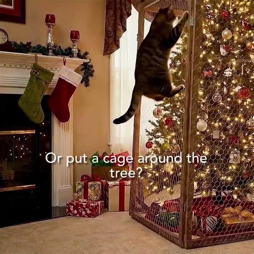 Stop Your Cat Climbing The Christmas Tree #shorts #humor #funny #comedy #cat #christmas #tree #fail