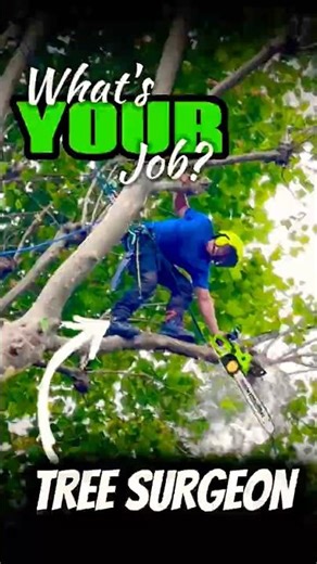 The Most Dangerous Job You’ve Never Seen! ⚠️ #tree #treecutting #trees