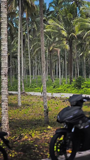 Cinematic Yamaha Sniper 155R Video Concepts 2024 Model