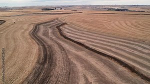 No-till corn field post harvest, residue, regenerative agriculture