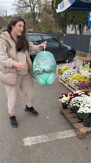 Vă așteptăm cu cele mai frumoase crizanteme! 🌺 #LaDoiPasiSuatu | La Doi Pași Suatu
