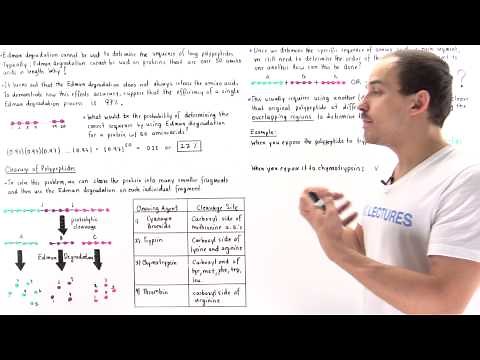 Sequencing Amino Acids by Proteolytic Cleavage