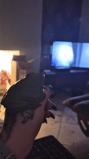 FROG just watching TV 👀📺😂 #pets #funny #frog #animals #treefrog #animallovers ‪@MostHauntedOfficial‬