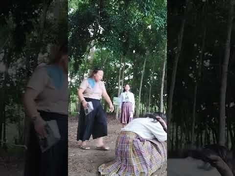 Angles formed by parallel lines cut by a transversal