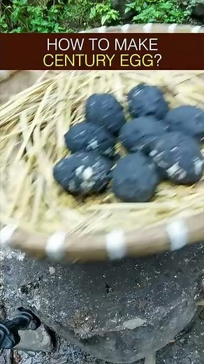HOW TO MAKE CENTURY EGG? #shorts