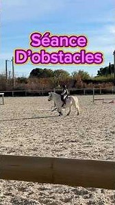 Aujourd’hui on saute ! #poney #pony #cheval #horse #equitation #equestrian #horsejumping