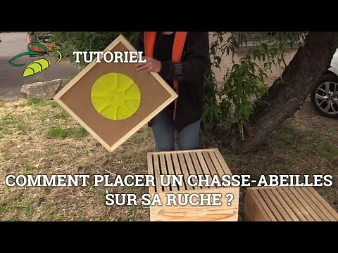 Comment placer son chasse abeilles ? - Tuto vidéo NATURAPI