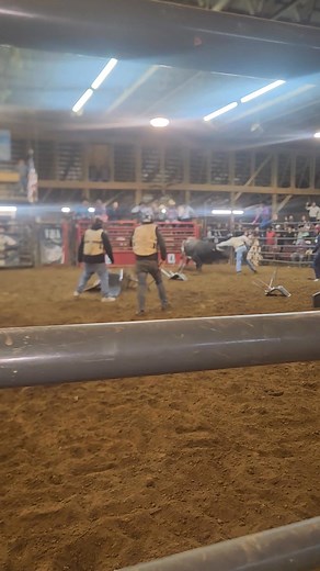 No fear roll the dice Bull Poker LIKE DAT N.G.U LIKE DAT | Likedat Hoer | Facebook