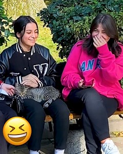 Tripping Over Nothing 😂🤣 | Matlabi Duniya