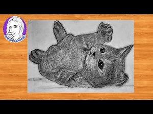 How to Draw Realistic Cat for BEGINNERS : Fur Drawing Technique