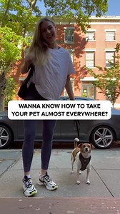 29K views · 357 reactions | Live & travel with your pet without worrying about, fees, deposits, or “no pet” policies. Get doctor’s approval here. ⬇️ Take our quiz to qualify instantly: https://www.supportpets.com/esa2 | Support Pets | Facebook