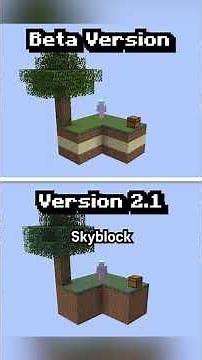 the skyblock original map (cred: @EiderMC)