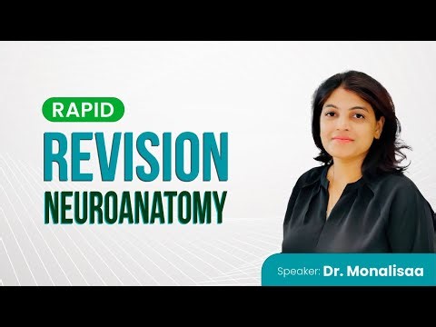 Neuroanatomy🧠 Rapid Revision - Dr. Monalisa