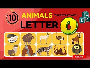 “10 Incredible O Animals Educational Animal Video for Kids”
