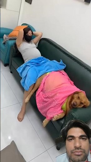 Girl dancing sleeping with dog 😂😂