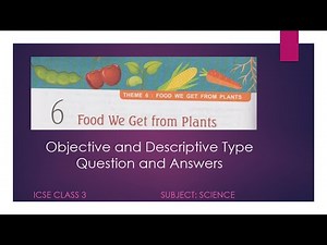 ICSE CLASS 3 - Science - Chapter 6 Food We Get from Plants - Question and Answers