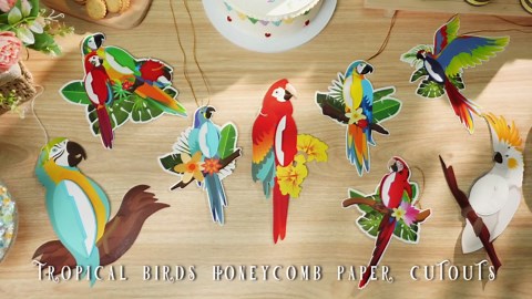 Spakon 9 Pieces Tropical Birds Honeycomb Paper Cutouts Rio Luau Party Hanging Decorations Rainforest Hanging Paper Birds Hawaiian Parrot Honeycomb Cutouts for Luau Party Decor