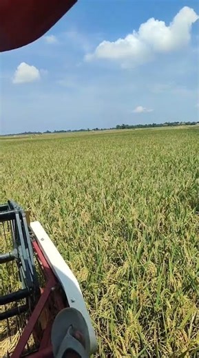 MAXXI ||#automobile #kombi #kombisawah #maxxibimo102standar #maxxibimoterbaru #combineharvester