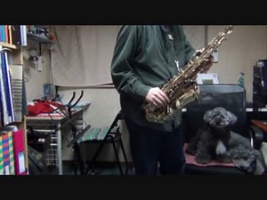 アルトサックスで「宝島」（T-SQUARE）を吹いてみた