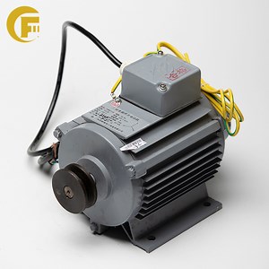 [Hot Item] Elevator Three -Phase Frequency Conversion Asynchronous Motor Ys71A6 Stands on The Elevator Ysmb71A6