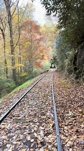 The colors are at their PEAK right now in Andrews Valley! 🍁 This video was taken TODAY! Join Andrews Valley Rail Tours for a 2-hour journey through the Blue Ridge Mountains, with a 30-minute stop at the historic Valley River Tunnel. Walk inside the hand-carved tunnel, snap pics, and relax by the river. 🕚 Daily tours: 11:30 AM & 2:30 PM 🗓 Last day: November 16, 2025 Pick your adventure: Speeder Engine (guided) Passenger Cart (comfy ride) RailBike (pedal power!) Secure your spot: https://Andrew
