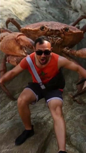 a boy and a giant crab #ai #shorts #aigenerated