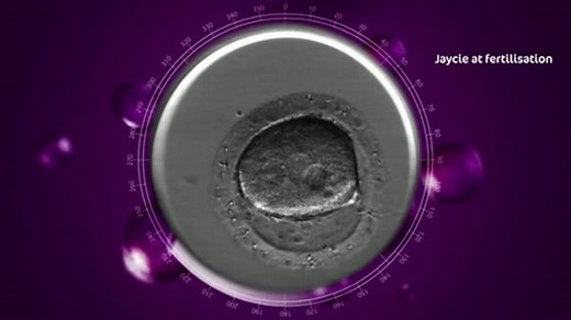 Baby filmed from conception to birth