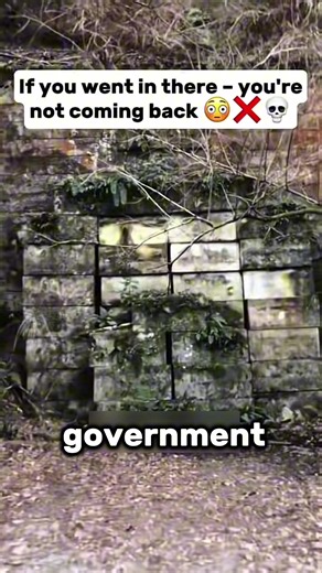 The Truth About Inunaki TUNNEL 😨 #mystery #scary #inunaki | inunaki