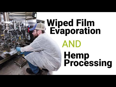 Wiped Film Evaporation and Hemp Processing
