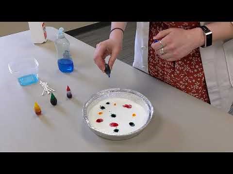 Magic Milk Experiment