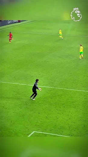 Football Highlights: Unmissable Moments and Skills