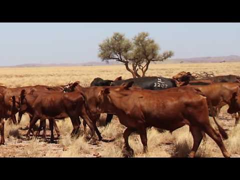 WHAT IS AN ULTRABLACK?