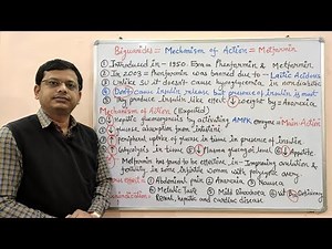 Diabetes Mellitus (Part-11) Mechanism of Action of Metformin | Biguanides | Metformin in Diabetes