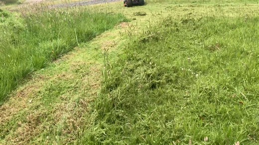 Another side by side video with the slasher and Husky using the John Kavli Beast Blades. Tall wet grass taken down in one pass. | Lawn Mower Blades