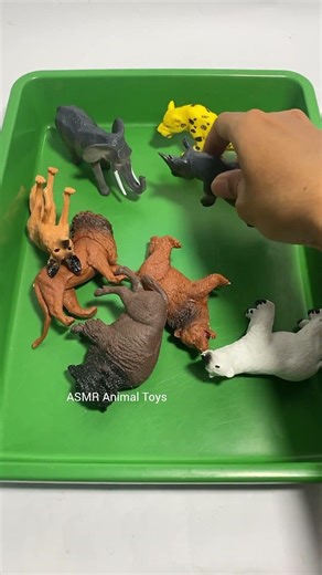 Epic Wild Animal Toys Collection #satisfying #wildlife #shorts