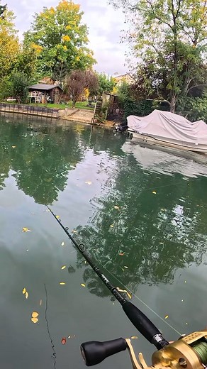 La session qui commence mal… et finit en légende 🎣🔥 #peche #fishing #brochet | Rafael Medioni