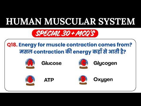 Muscular system mcq questions | Muscular system mcq questions in hindi | Skeleton System